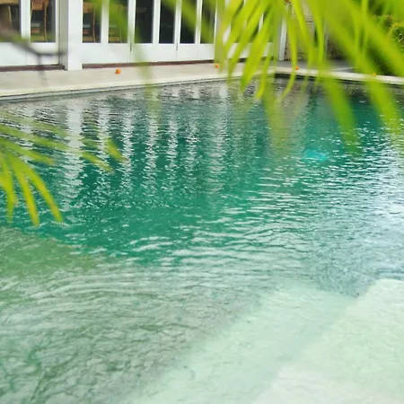 Villa Ndaru - 4 Bedroom Villa In Batu Bolong, Canggu